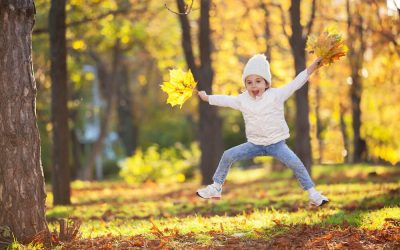 Explore These Fall Hotspots in the NYC Suburbs