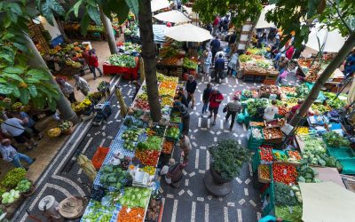 Get a Taste for the San Francisco Suburbs by Exploring These Farmers Markets