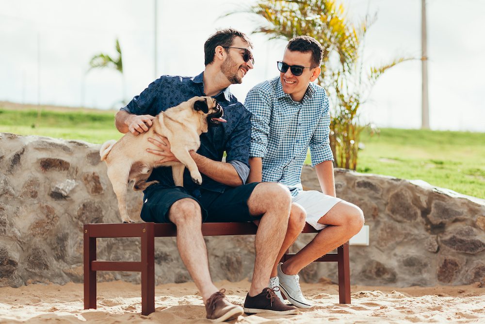 Adobestock 233590514 Best Pets and Dog Friendly places in Philadelphia Suburbs