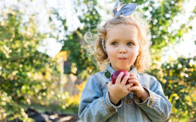 The Best Places to go Apple Picking in the NYC Suburbs