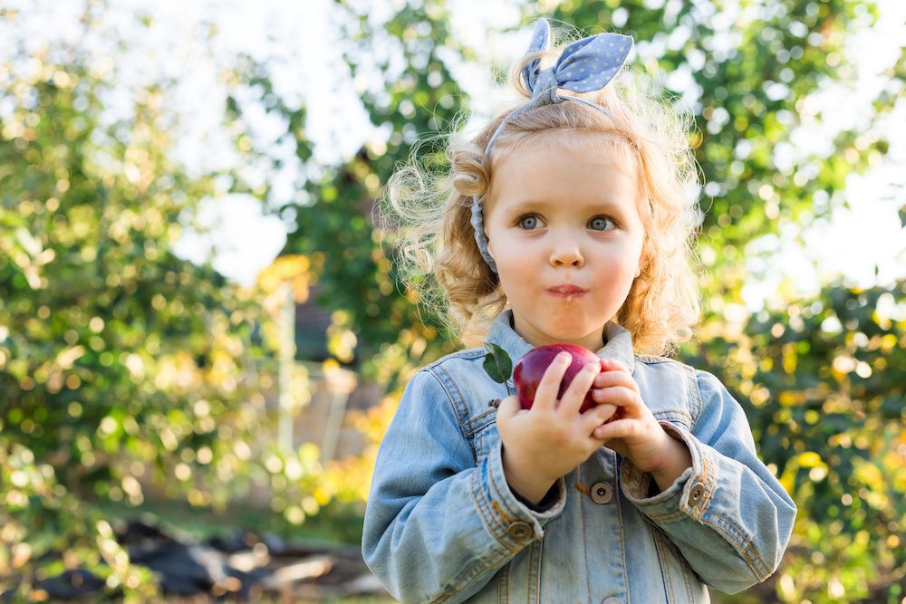 Adobestock 301279964 Best Places for Apple Picking in the NYC Suburbs 2021