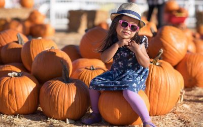 Halloween Fun & Frights in the DC Suburbs