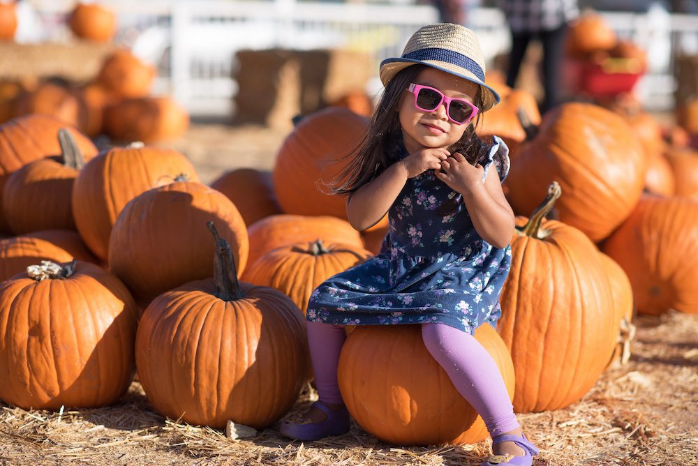 Adobestock 293562379 Halloween Fun in the DC Suburbs