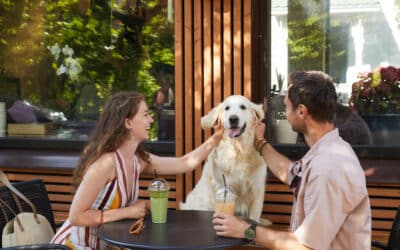 The Best Dog-Friendly Suburbs Around NYC
