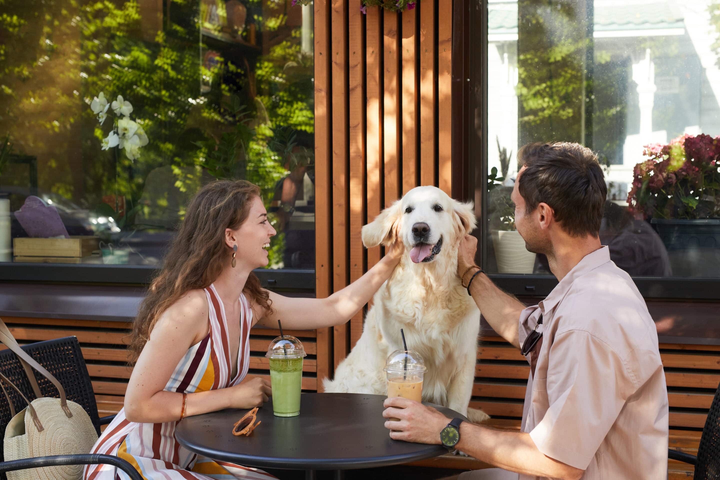 Happy couple with dog at a cafe Happy couple with dog at a cafe