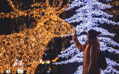 Don’t Miss These Amazing Holiday Lights in the New York Suburbs