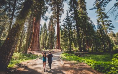 Amazing Suburbs of San Francisco: Bay Area Suburbs Just a Little Farther Out