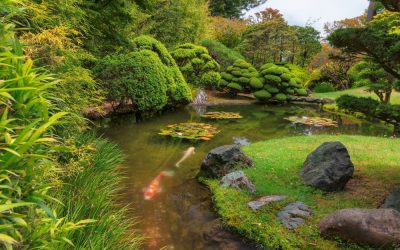 Spring Has Sprung in These Bay Area Gardens