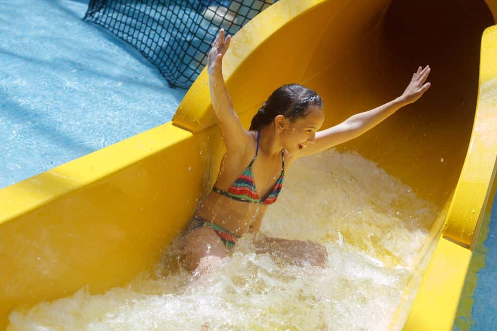 Adobestock 230251847 Adobestock 230251847