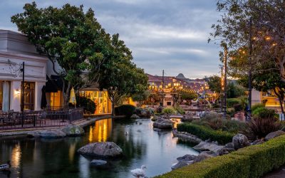 Why We Love Contra Costa County