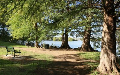 Park Hop Through the Austin Suburbs