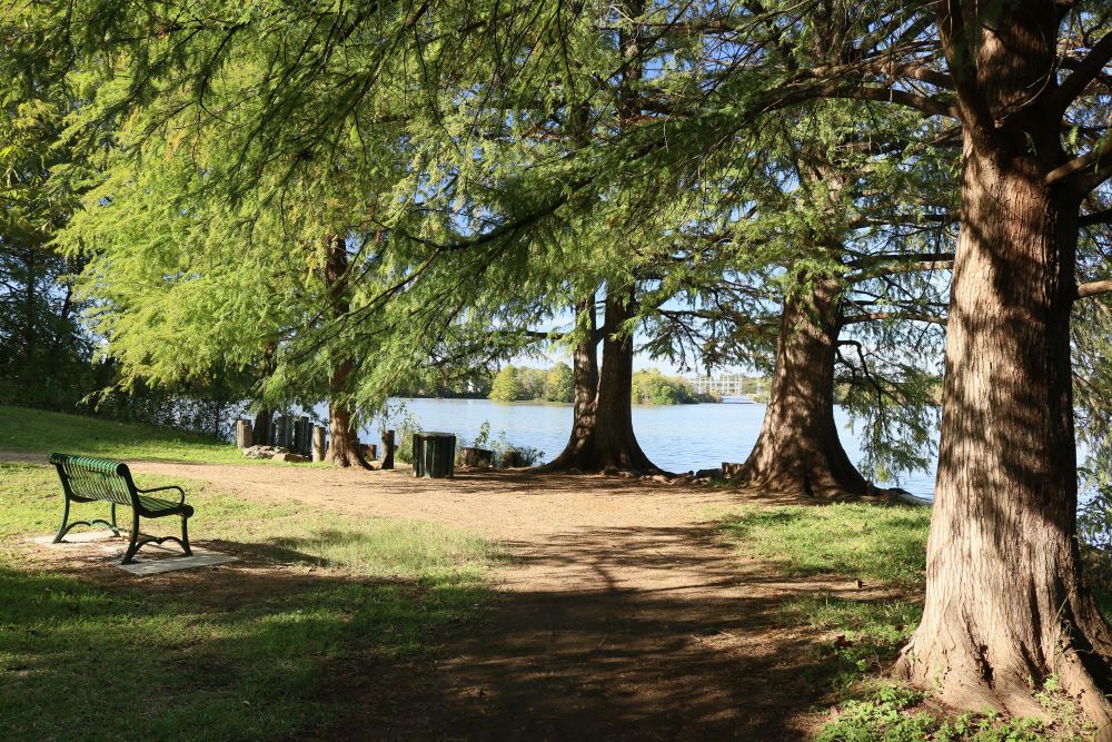 Shutterstock 1221197344 Shutterstock 1221197344