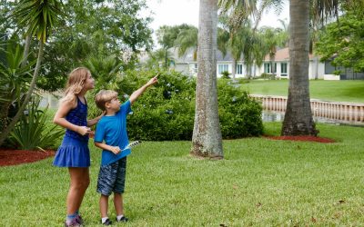 Why Town Tours Make All the Difference