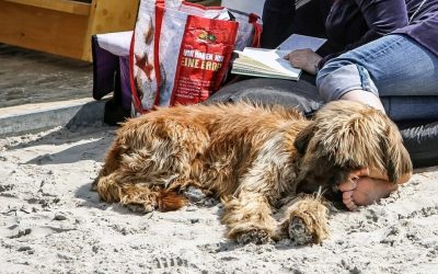 Getting ready for the weekend!