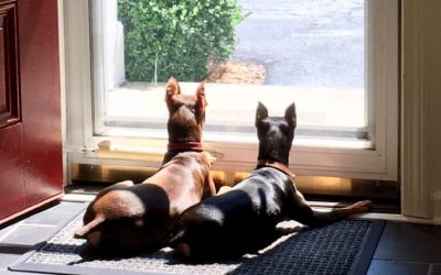 The Push Off the Cliff 