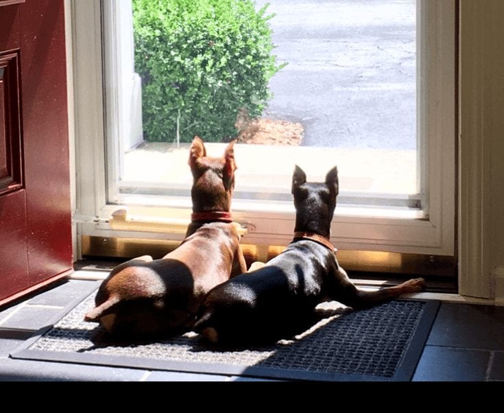 23418a9b 6ea1 7a09 35ad 0709f450b090 1 23418a9b 6ea1 7a09 35ad 0709f450b090 1