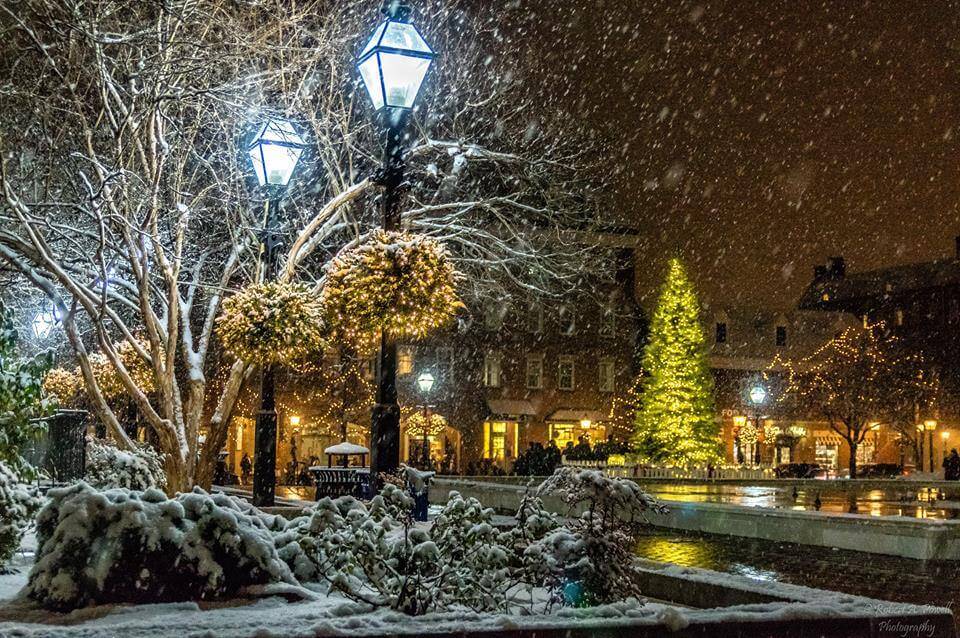 25158064 1592767674079570 4289364360085831246 N 25158064 1592767674079570 4289364360085831246 N