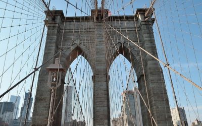 Suburban Jungle on the River Towns Bidding Wars