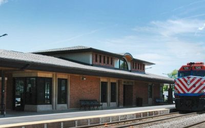 In the CHICAGO SUBURBS with Suburban Jungle’s WILMETTE LOCAL Amanda Doblin! 