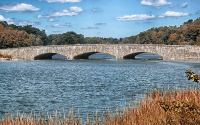 Our Foray into the Suburban JunglePart III: Darien or Bust