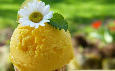 Why I Picked My Town: Meet Lisa Pisano from “Mom a la Mode!”