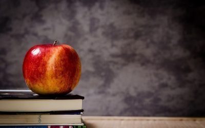 The decisions AFTER the decision to move to suburbia…