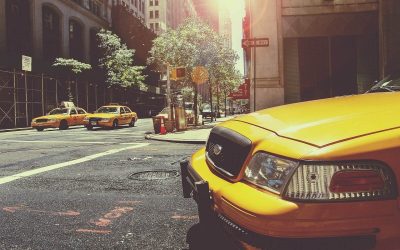 Our Foray into the Suburban Jungle Part I: Space & Window Shopping