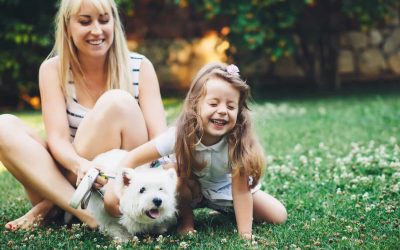 Summer Fun for Families in the Boston Suburbs!