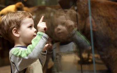 Plan Your Perfect Labor Day Weekend in the Boston Suburbs