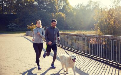 An NYC Suburbs Search Goes South (Literally)