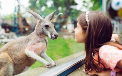 Hit the Bay Area Suburbs This Labor Day Weekend