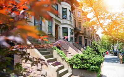 From Brooklyn to Briarcliff: Rachel Caravella Takes the “Town First” Approach to Exploring the NYC Suburbs