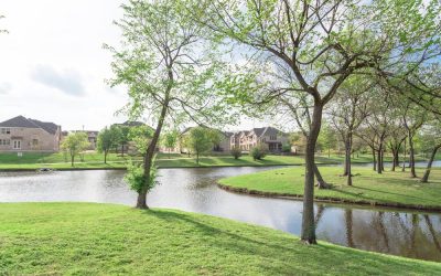 Discover Collin County: From Farms and Ranches to Action-Packed Family-Friendly Suburbs