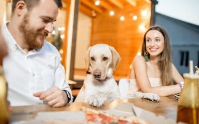 Finding Their Princeton-meets-Manhattan…but in Westchester