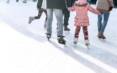 Head to the Chicago Suburbs This Weekend!