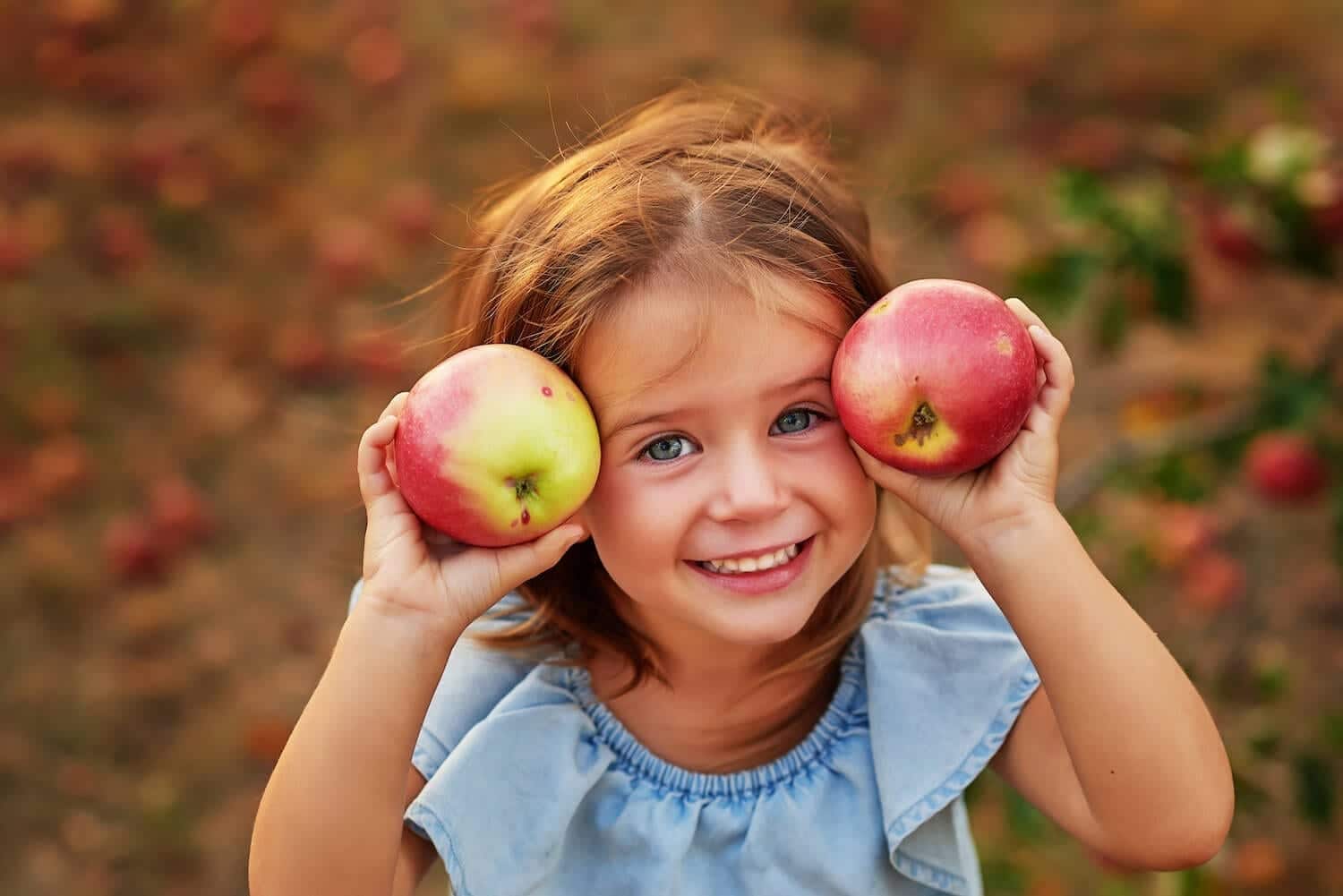 Adobestock 234457940 Adobestock 234457940