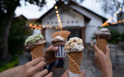 Get Out & Explore the Boston Suburbs