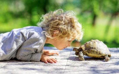 This Weekend, it’s All About the Boston Suburbs