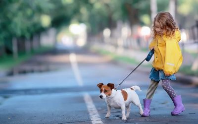 5 Ways to Make Moving With a Dog a Little Less Ruff