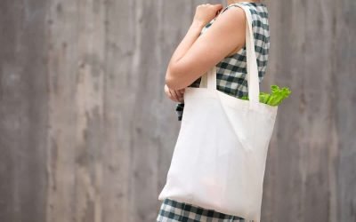 7 NYC Suburbs for Families Ready to Go GREEN