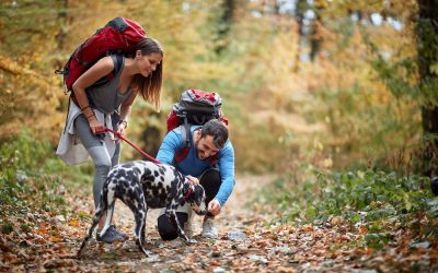 Add These Scenic Westchester Hikes to Your Summer Must-Do List