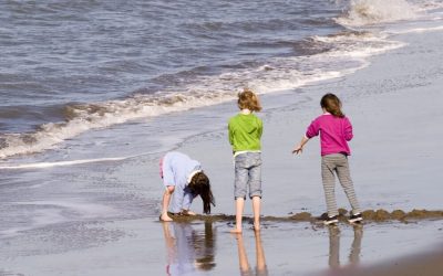 6 Bay Area Towns That Feel Like a Vacation