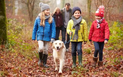 7 Ways to Explore the Suburbs RIGHT NOW