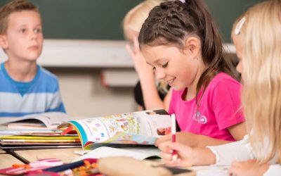 Language Immersion Programs in the Boston Suburbs