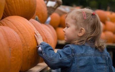 The DC Suburbs Were Made For Fall