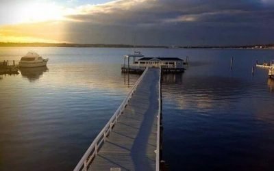 In the ‘burbs with Suburban Jungle Strategist ERIKA ADES!