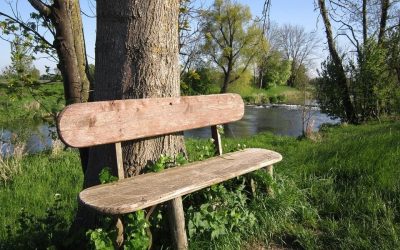 Why Spring Break Made Me Want to Move to Suburbia