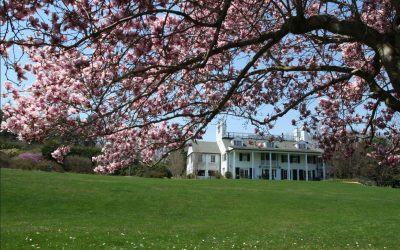 Are Westchester Homes Getting MORE Affordable? Maybe…