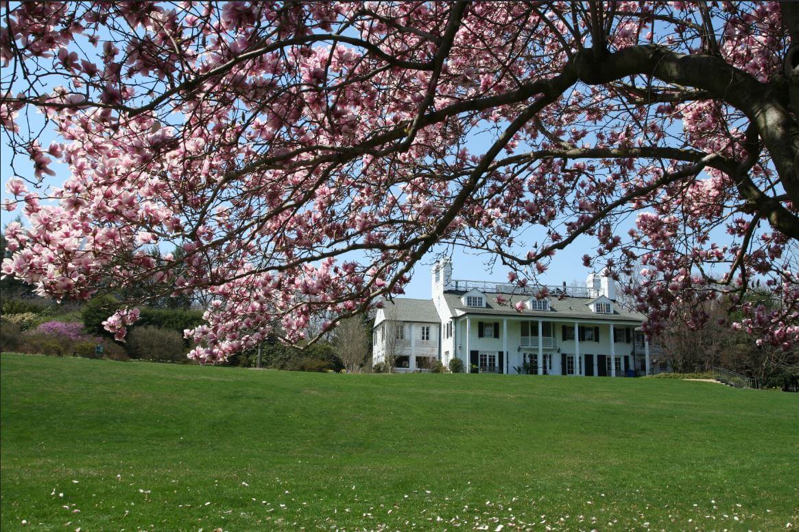 Capture Min Capture Min