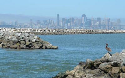 Town Spotlight: Alameda, California